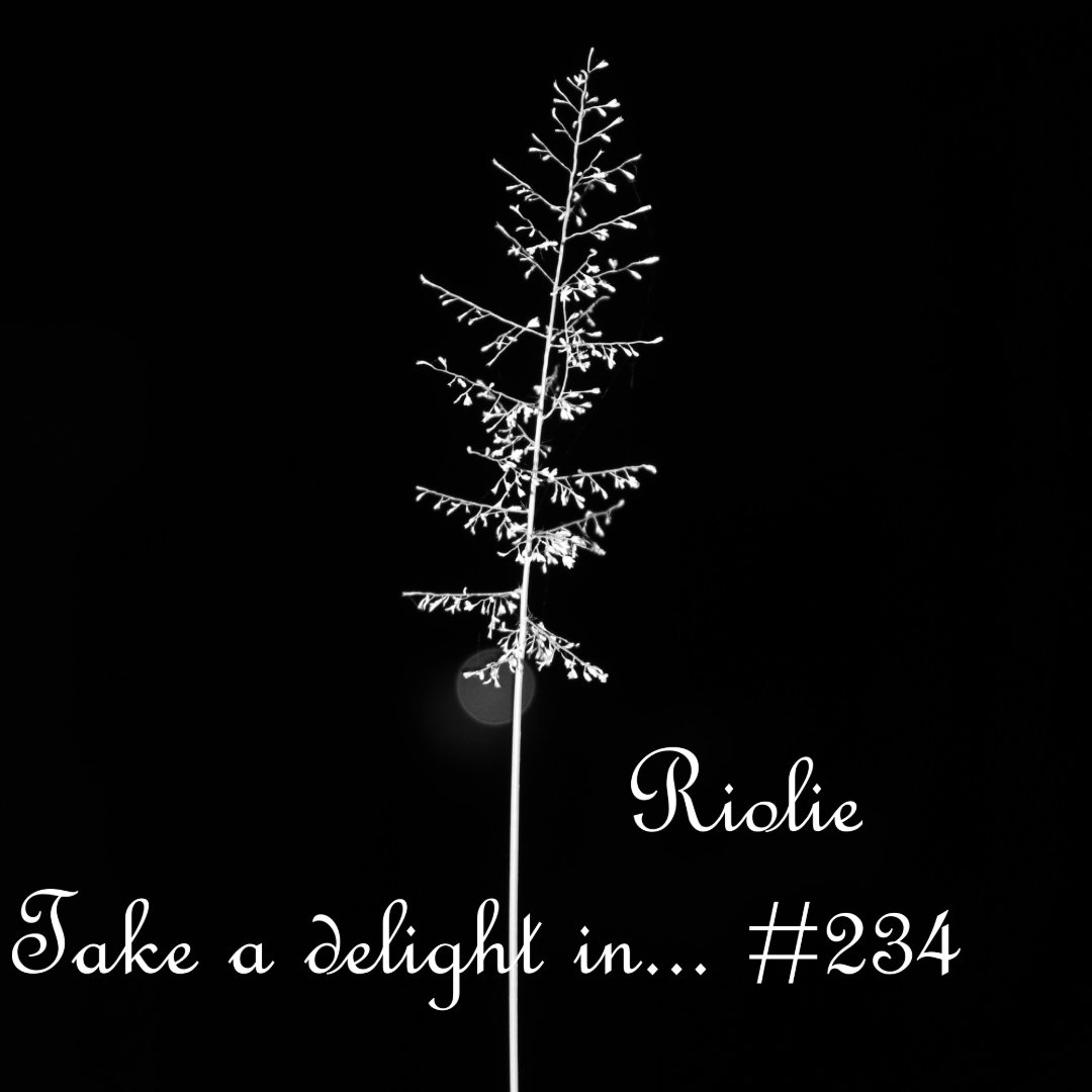 Take a delight in ... № 234 podcast episode artwork