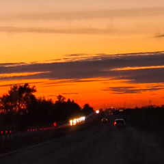 Падарожжа дылетанта
