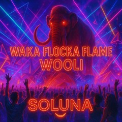 Grove St. Party x Restraint (Waka Flocka Flame x Wooli) [SOLUNA Mashup]