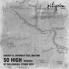 Zatonsky, Nastine ft Gorsky - So High [Studio Deep] 🗽