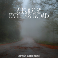 A Foggy Endless Road