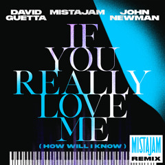 David Guetta x MistaJam x John Newman - If You Really Love Me (How Will I Know) [MistaJam Remix]