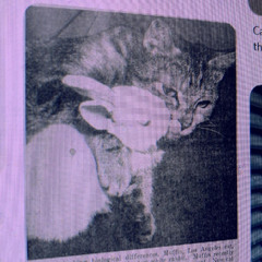 mara^_^ ft blanka take my breath away