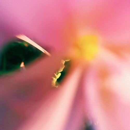 Joelo Fi December 2020 By Balamii joelo fi december 2020 by balamii