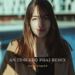 Ân Tình Khó Phai - Remix