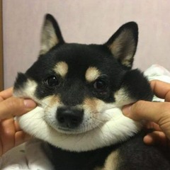 dìa diaaa!