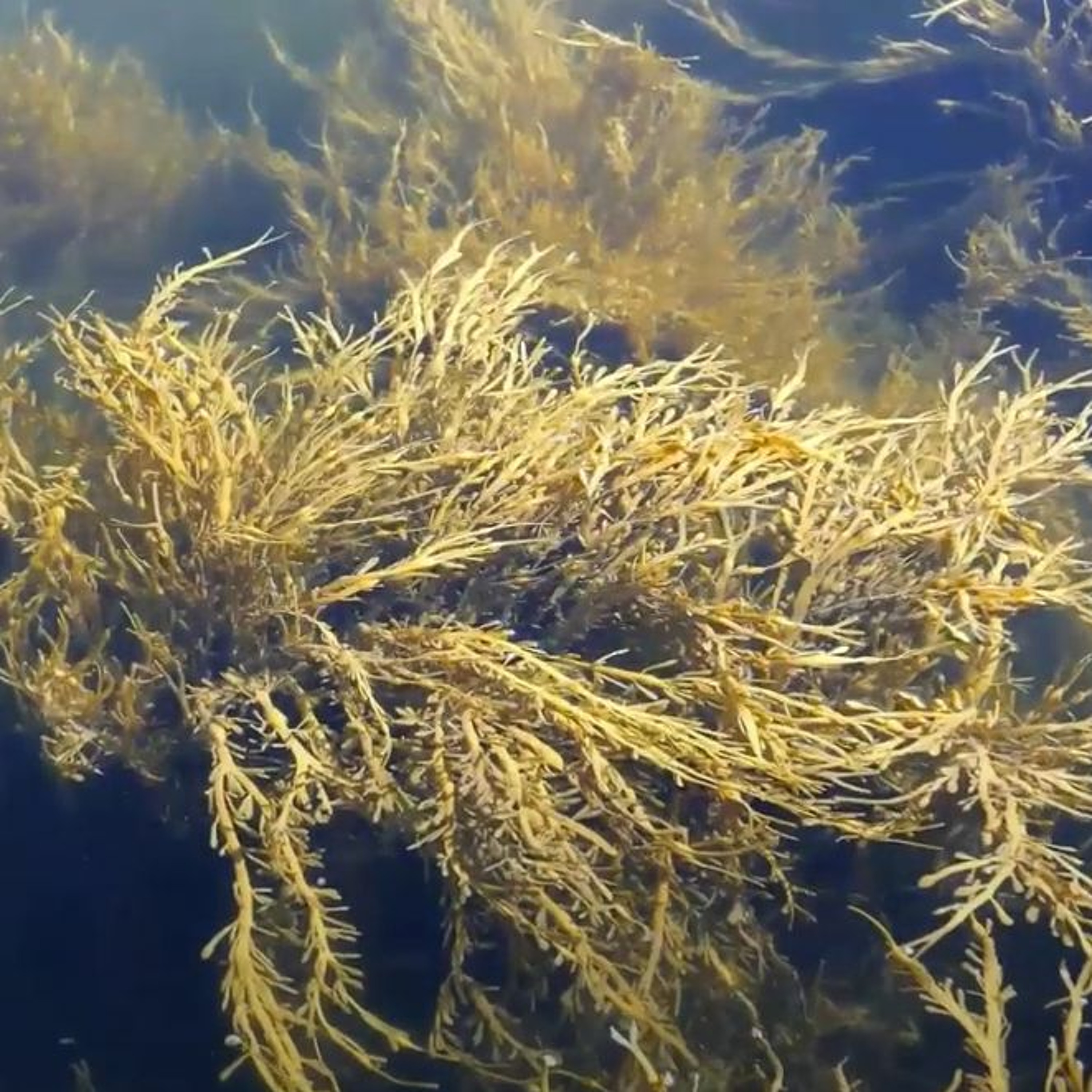 大江學院 TCI Academy