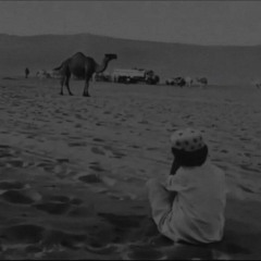 لوم المحبين . .
