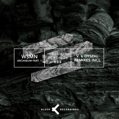 Lost In Ether | P R E M I E R E | WSMN - Hidden Passage [Blush Recordings]