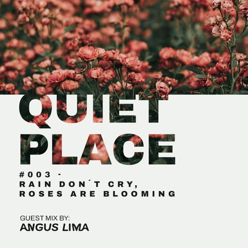 Quiet Place #003 - Rain Dont Cry, Roses Are Blooming