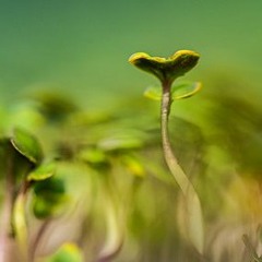 Forgiveness - Quick Practice by Jeddah Mali