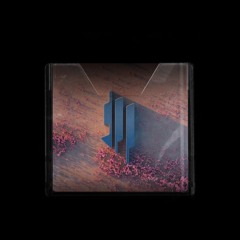 SKRILLEX - A STREET I KNOW [KEMPA FLIP] **PREVIEW CLIP**