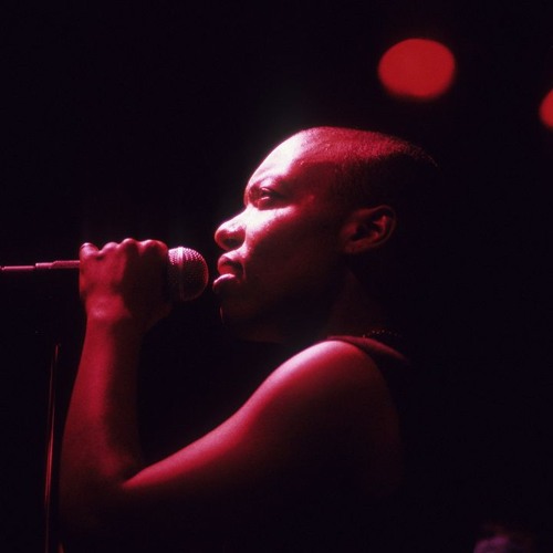 In Focus: Meshell Ndegeocello 290825