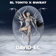 Lola Indigo, Quevedo X David Guetta - EL TONTO Sweat (David Ec Mashup) [Pitched Up Copyright]