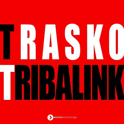 Tribalink (Radio Edit Mix)