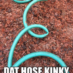Delighting the Hose [06/20/25]