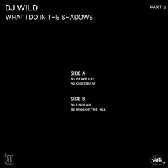 W030  C2 DJ W!LD - NEVER CRY