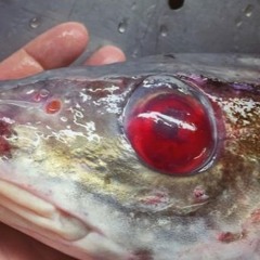 deliriantic - ghosts singing