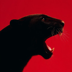 Who's There? I'm There!