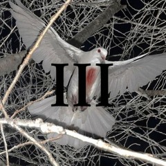 stab him in his torso and cut it open