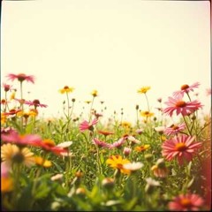 Fearfully Wonderfully Made