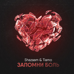 Запомни боль