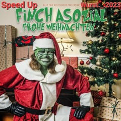 Frohe Weihnachten - FiNCH (Speed Up)