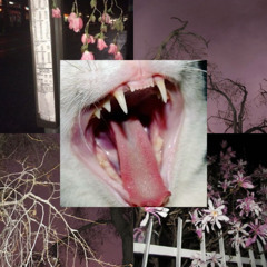 state of decay