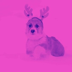 Piano Duo Jazz Soundtrack for Stress Free Doggos