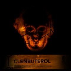 - CLENBUTEROL - Extreme Binaural Fat Burner (Enhanced Fat Burning Processes & Increased Metabolism)