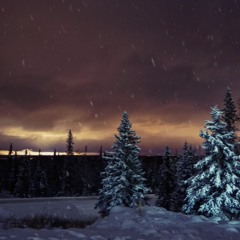 Q-REC. - Melodical Darkness 2 (X-Mas Special)