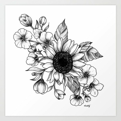 daisy