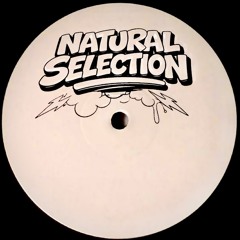 NATURAL SELECTION (AC) [FREE DL]
