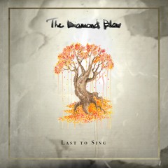 The Diamond Blow - One Man Flying