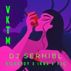 Sickotoy ( feat. Inna & Tag ) - Vktm ( DJ SerhiBL remix )