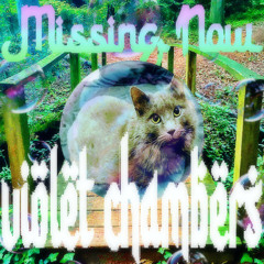 missing now - violet chambers