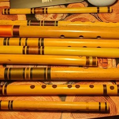 Bansuri Voyage