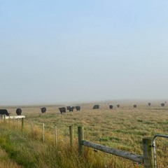 If I had a winter house party...