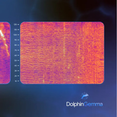 DolphinGemma: IA para descifrar la comunicación con delfines