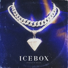 IceBox (Paulo D & Dylain)