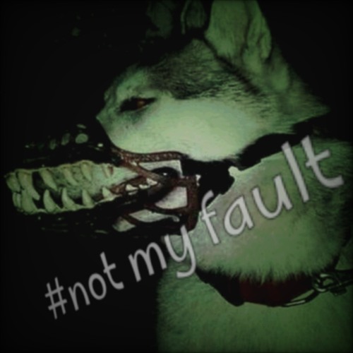 muzzle ⋆🐾⋆  +prod basedgwyn+