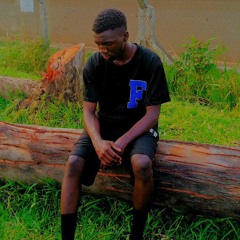 Aaronic boom_shaky shaky.m4a