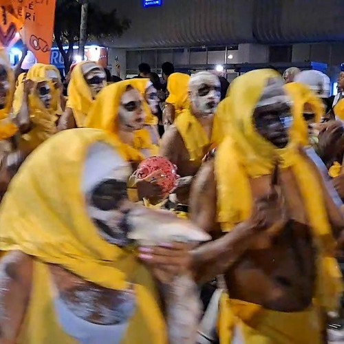 Vim - Symphonie Carnaval  2024 (Remix)