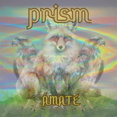 Prism