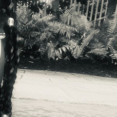 when_I (3)