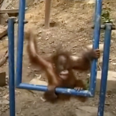 MAKE YOU CRY (Feat. Kusha K)