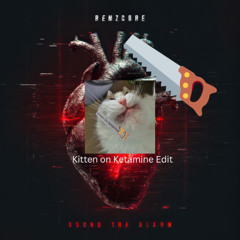 Remzcore - Sound The Alarm (Kitten On Ketamine Edit)