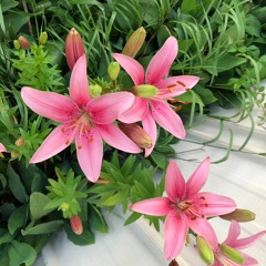 BoBbY wEaVinG REVISED - 10:2:22, 8.28 PM