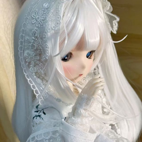 lace (zulji9)