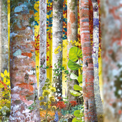 When Monday Comes Around